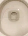Toilet Bowl Cleaner Starter Set
